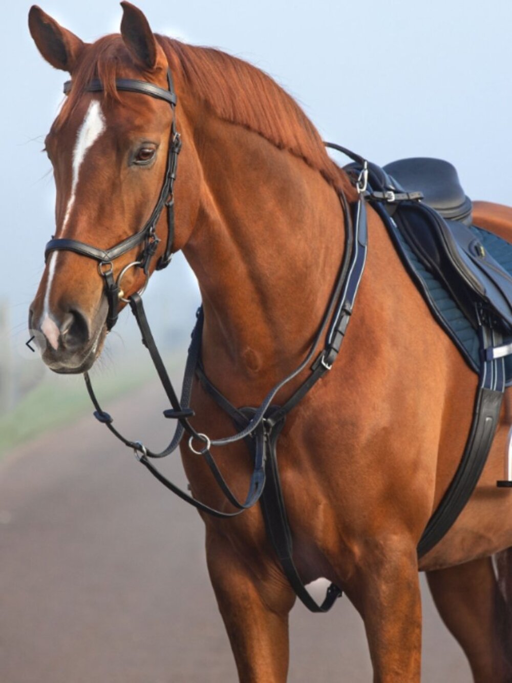 Horseware Micklem® Breastplate Martingale - Cob Size - Black/ Navy